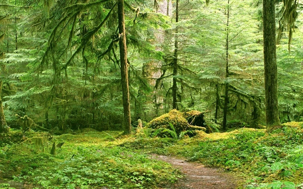 Nature Wallpapers Nature Wallpapers Database Page (