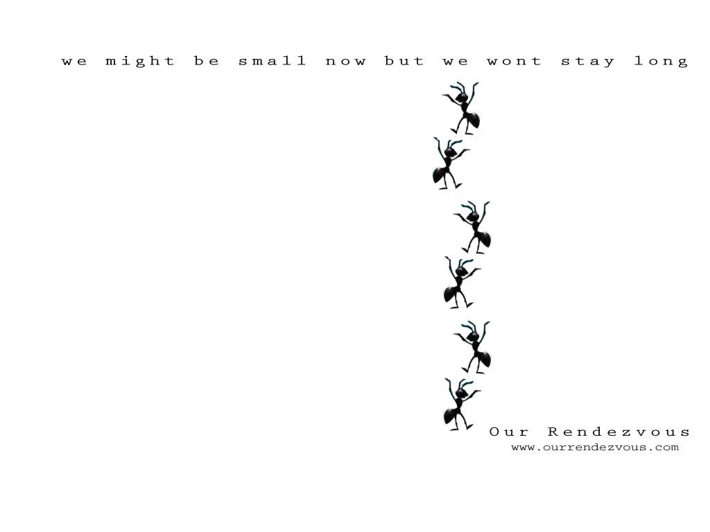 Non Nude Wallpaper, Ant