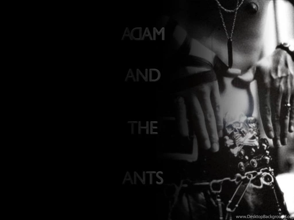 Adam Ant Adam Ant Wallpapers (2065361) Fanpop