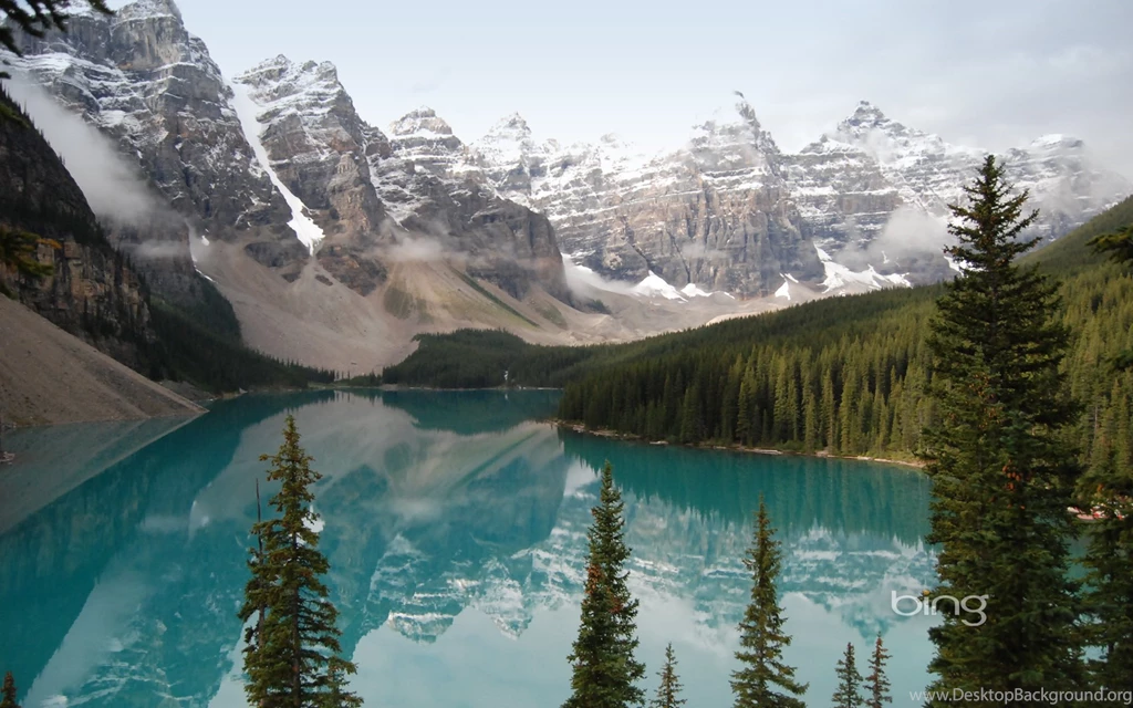 Bing Wallpapers As Desktop Backgrounds Image Gallery   Photonesta