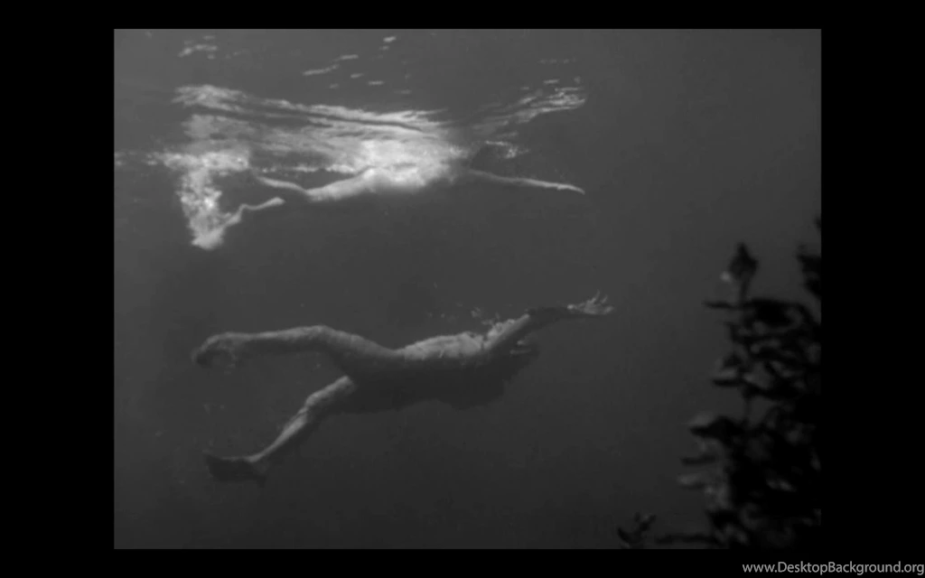 Creature From The Black Lagoon High Res Production Still. 1954 ...