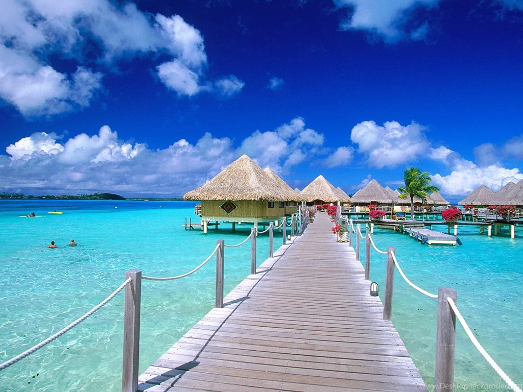 Free Tropical Beach Backgrounds Just For Sharing