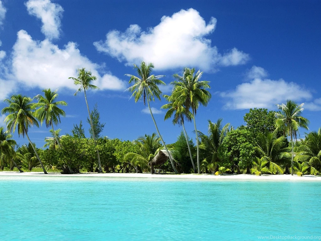 Tropical Wallpapers Collection (31+)