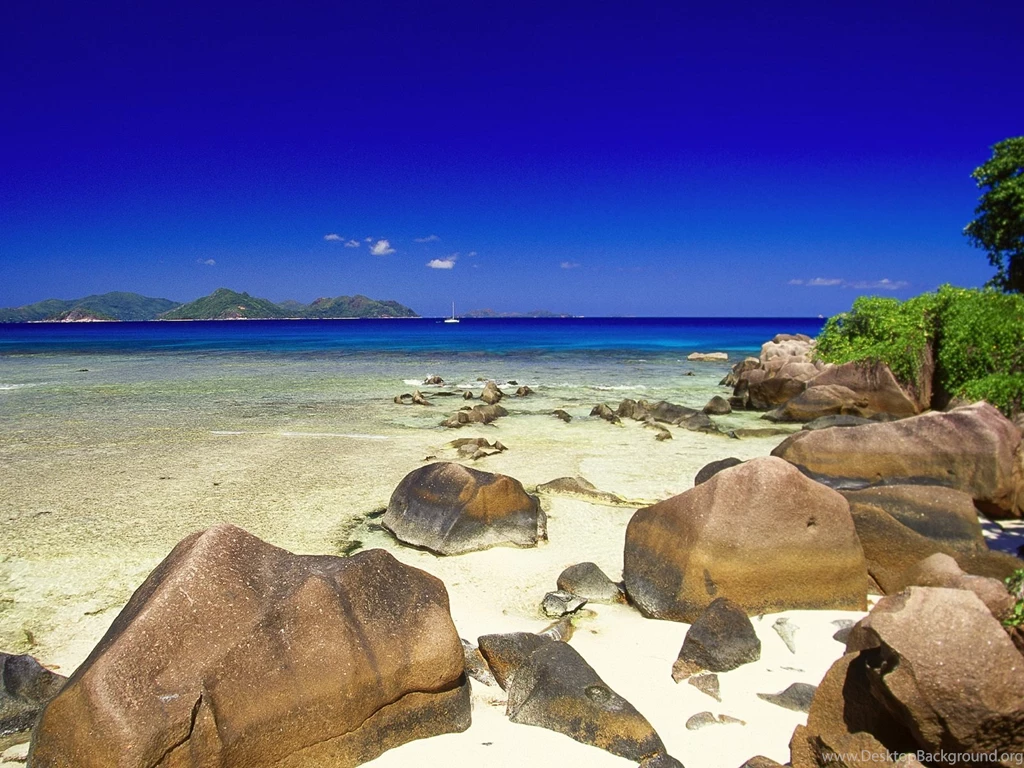 Free Tropical Wallpapers