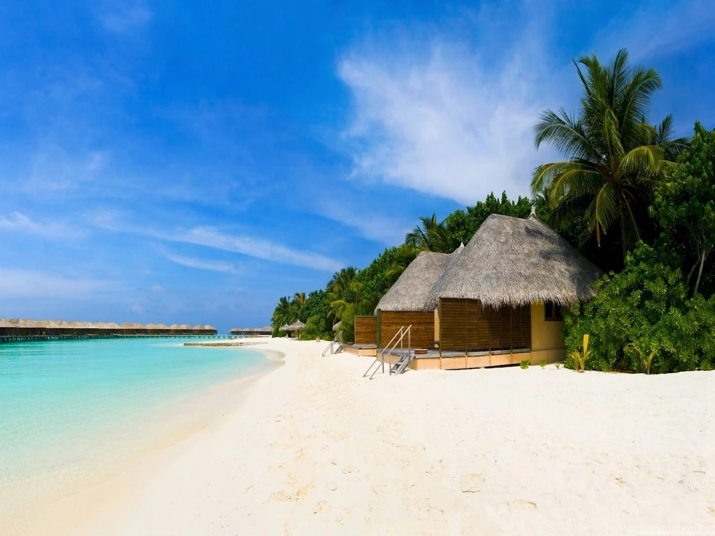 Free Tropical Beach Free Tropical Beach Backgrounds, Tropical ...