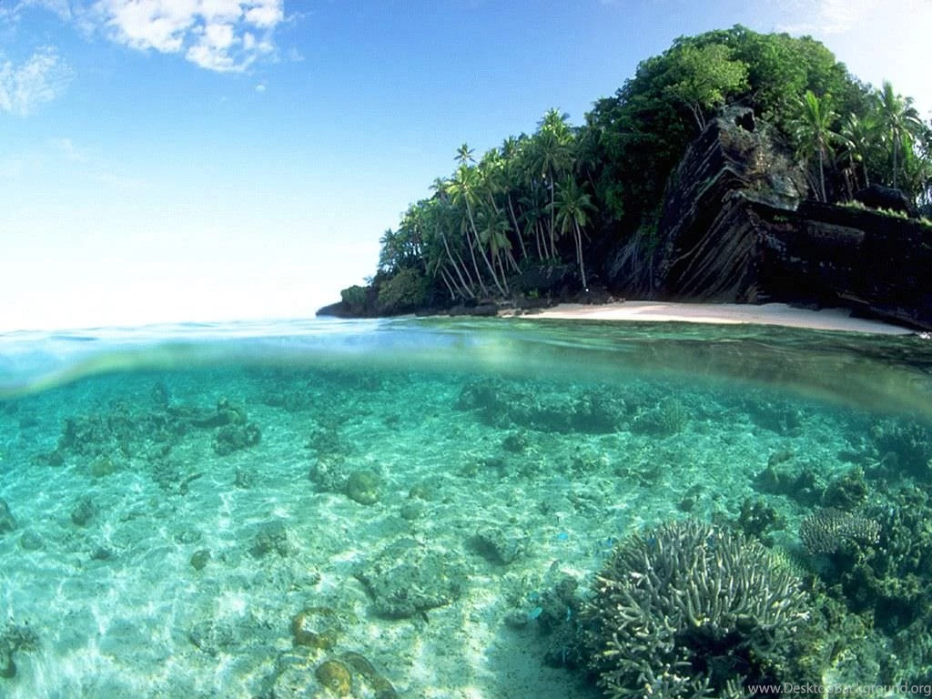28+ Tropical Beach Backgrounds, Wallpapers, Images, Pictures ...