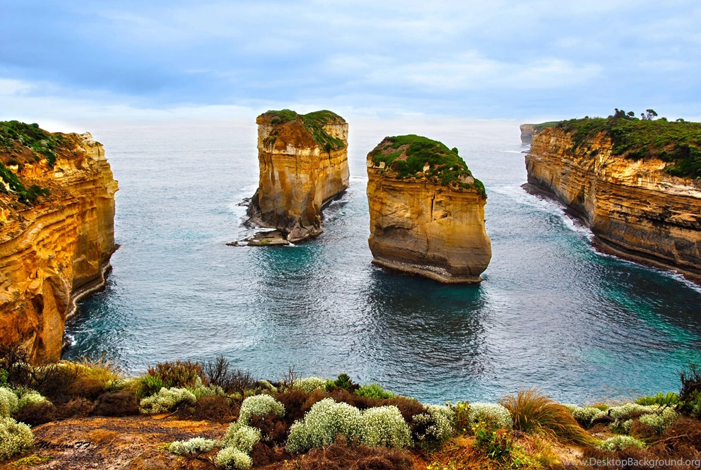 Download Great Nature Wallpapers Picture PJ21