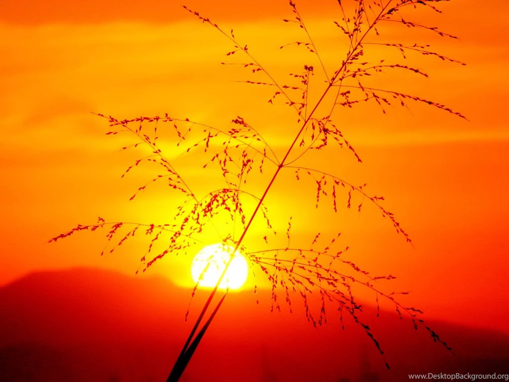 Great Sunset Wallpapers And Images   Wallpapers, Pictures, Photos