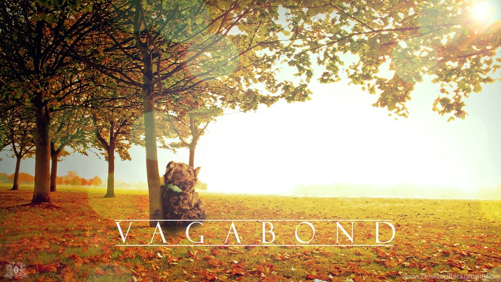 Vagabond