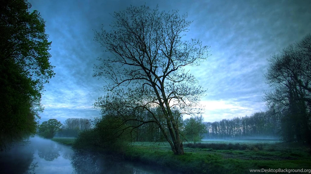 Hd Wallpapers Widescreen   HD Wallpapers Pretty