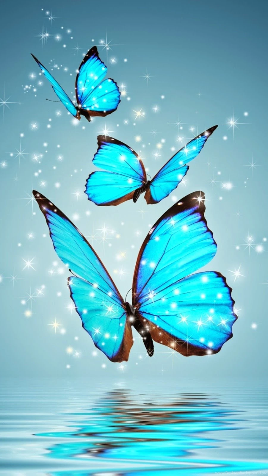Wallpapers For Iphone Widescreen J3P » WALLPAPERUN.COM