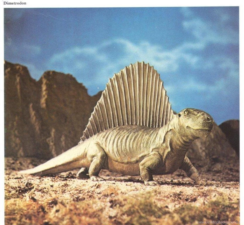 Pictures Of Prehistoric Animals Wallpapers HD Wide