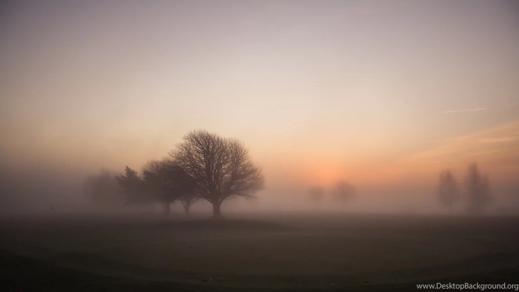 2560x1440 Foggy Morning Sunrise Desktop PC And Mac Wallpapers