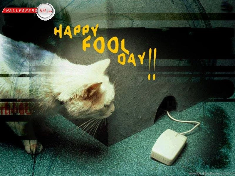 April Fool Wallpapers Picture Image 800x600 2611