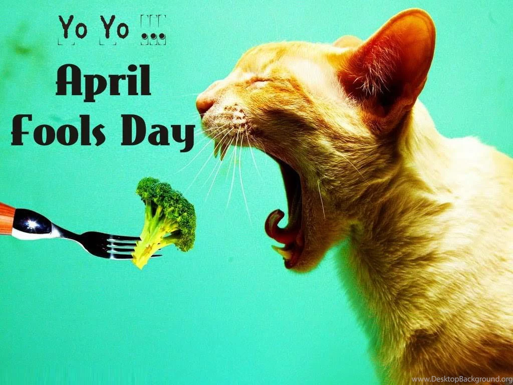 April Fool Day Wallpapers ~ Toptenpack.com