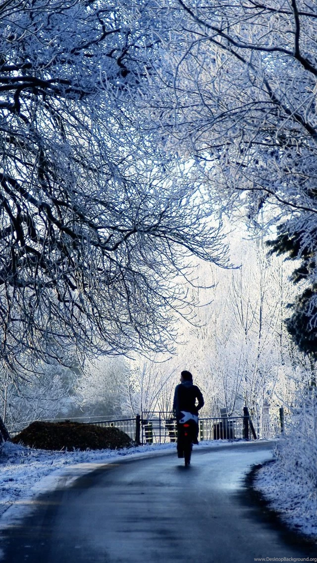 Download Winter Iphone Backgrounds