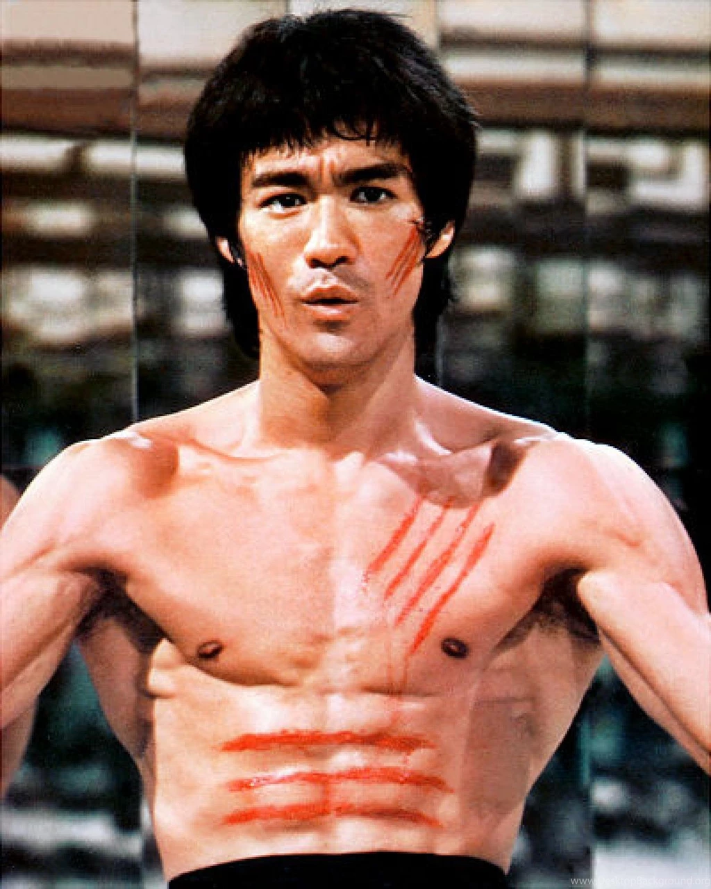 Bruce Lee Wallpapers Wallpaper.
