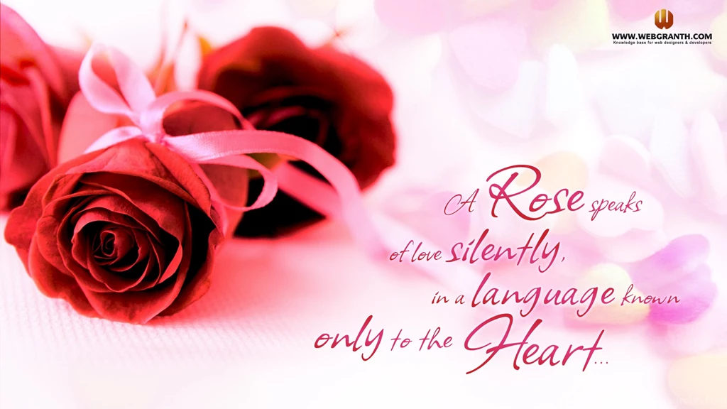 Rose Day Wallpapers Picture Images Photos 2012: View HD Image Of ...