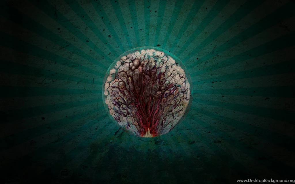 Surreal Wallpapers Wallpapers Cave