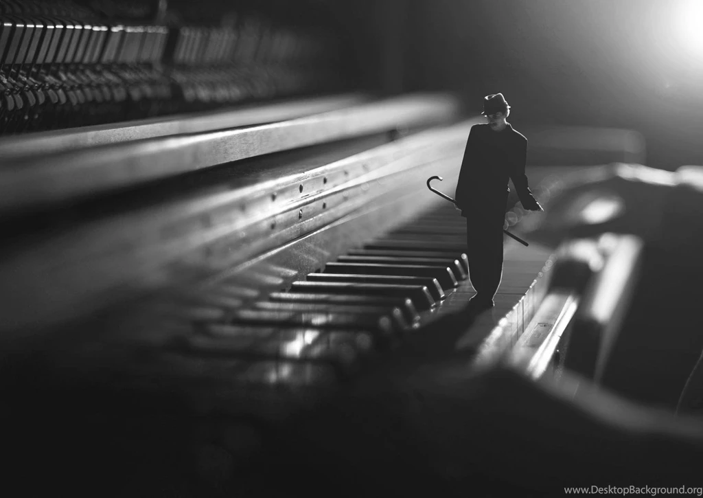 Photography Art (