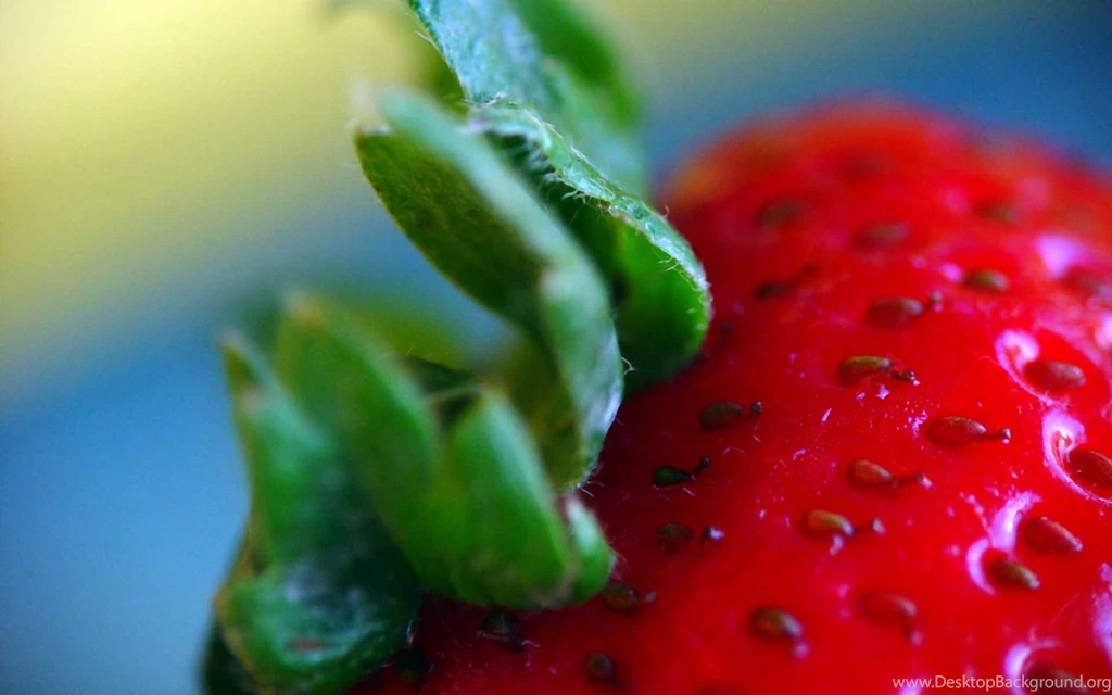 Strawberry, Photography, Wallpaper, Easter, Christmas, Art, Design ...