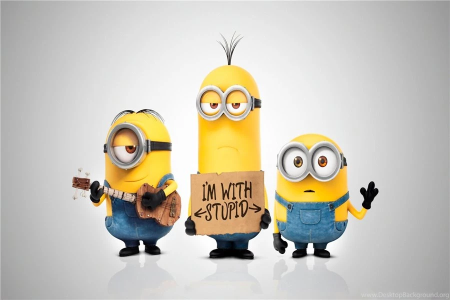 Popular Funny Wallpapers Buy Cheap Funny Wallpapers Lots From ...