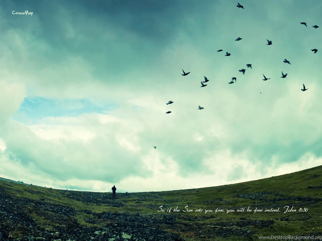 So If The Son Sets You Free, You Will Be Free Indeed