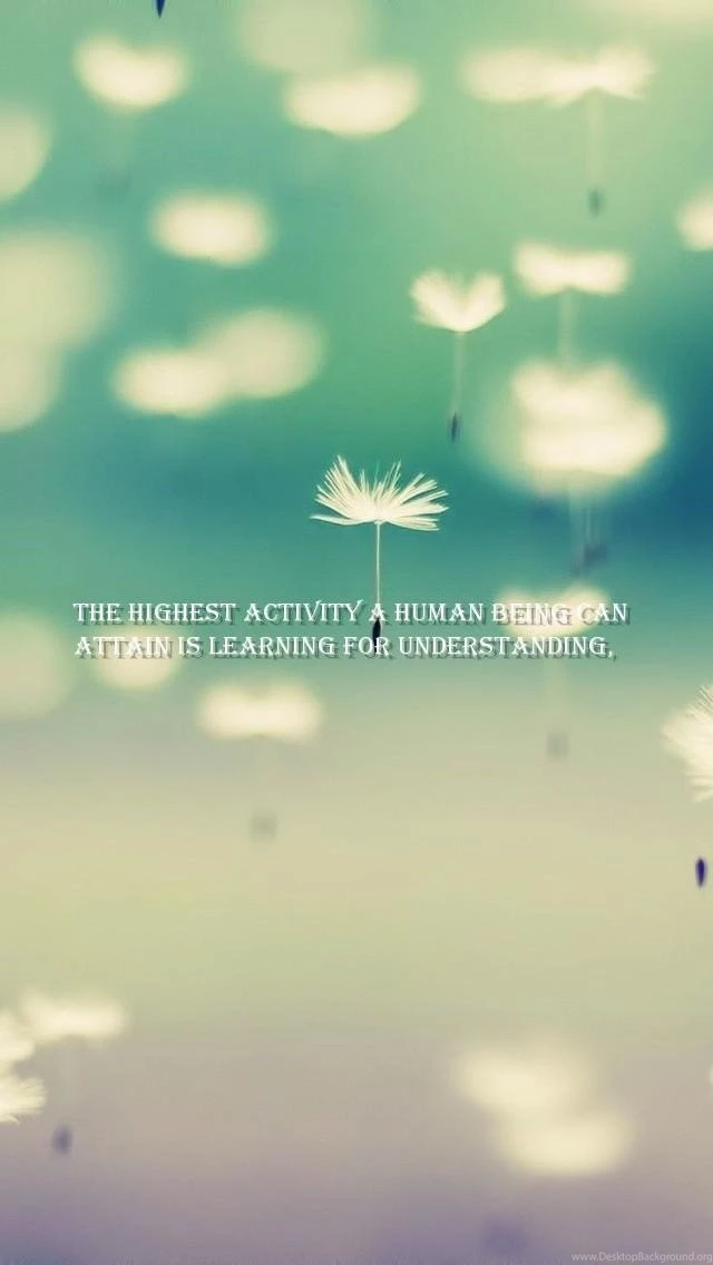 Free, Being Quotes Wallpapers The Highest Activity A Human Being ...