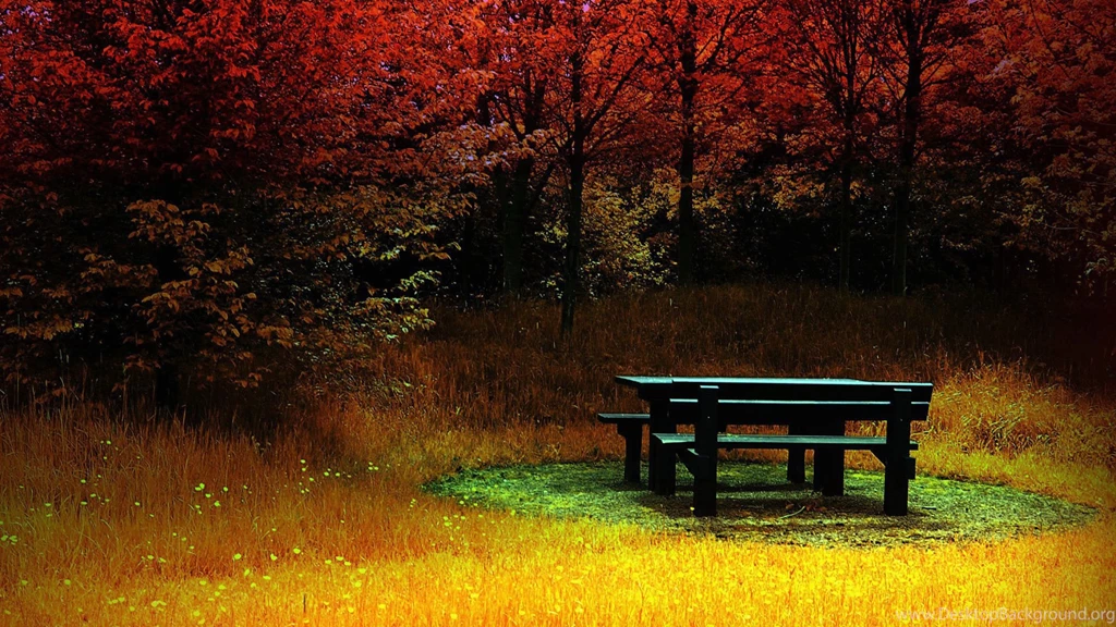 Nature Wallpapers Page 7