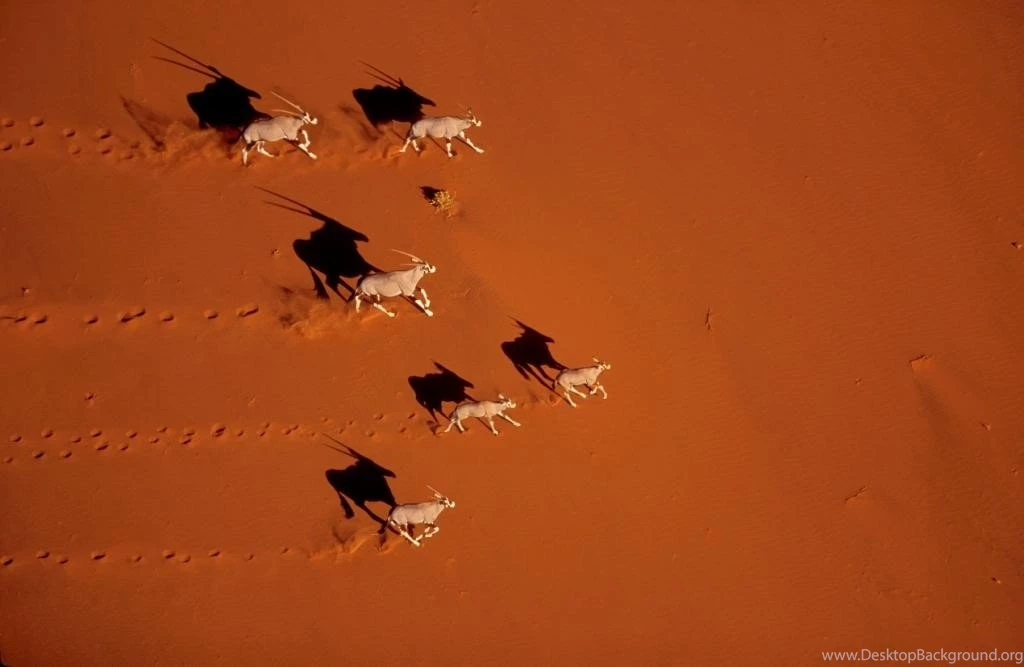 Deserts: Ariel Entertainment Photography Desktop Fun Discovery ...