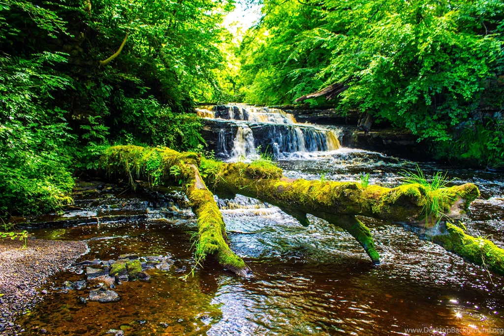 Rivers: River Cool Forest Nature Fun Desktop Background Images For ...