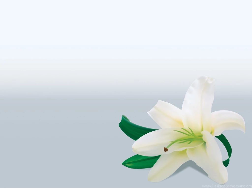 Lily Flower Powerpoint Templates Flowers, Green, Yellow Free ...