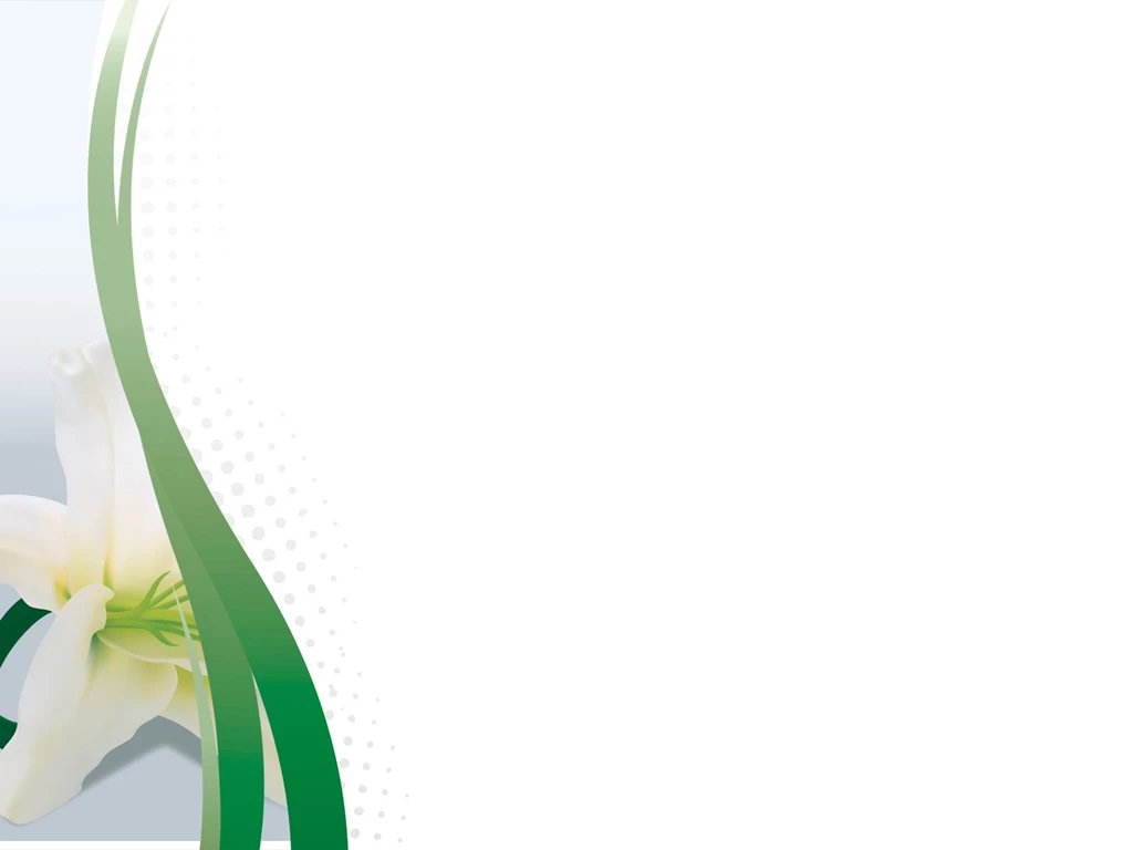 Lily Flower Powerpoint Templates Flowers, Green, Yellow Free ...