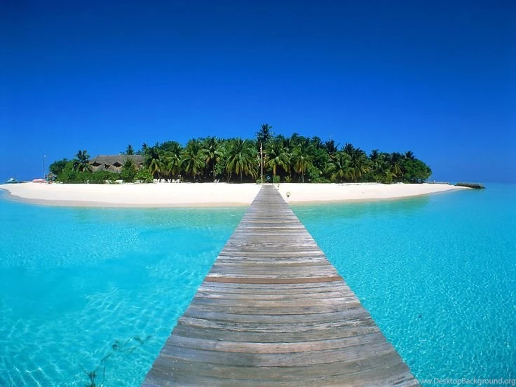 Beautiful Tropical Vacation Pics