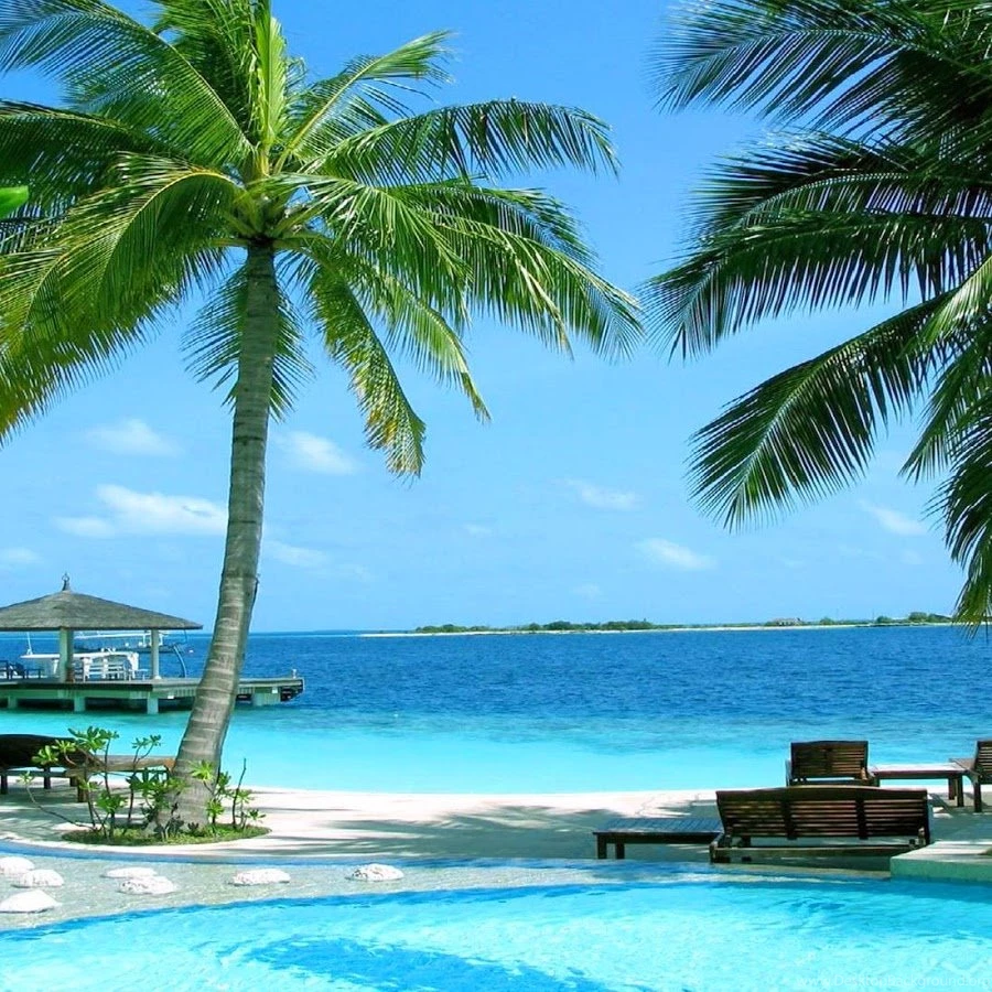 Beach Live Wallpapers Android Apps On Google Play