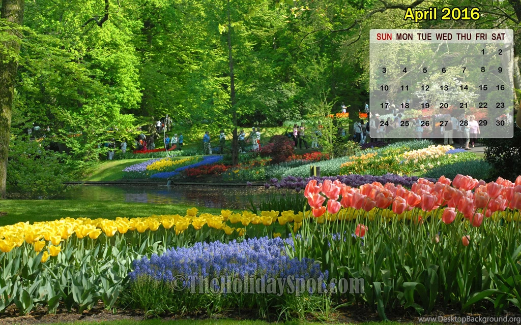 Month Wise Calendar Wallpapers Of 2016