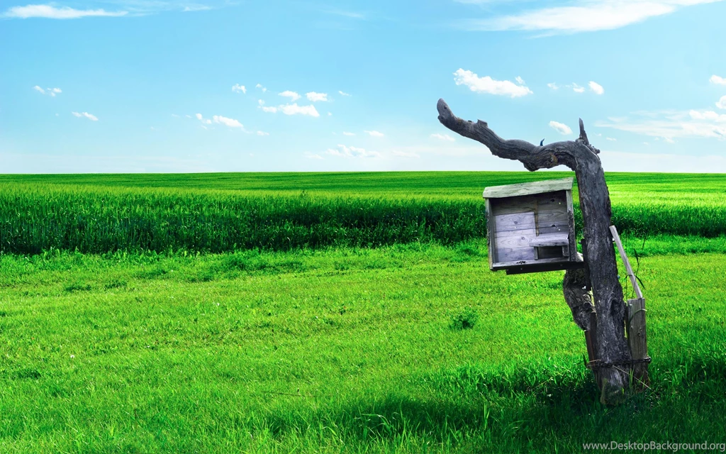 Wonderworld >> HD Wallpaper, Get It Now!