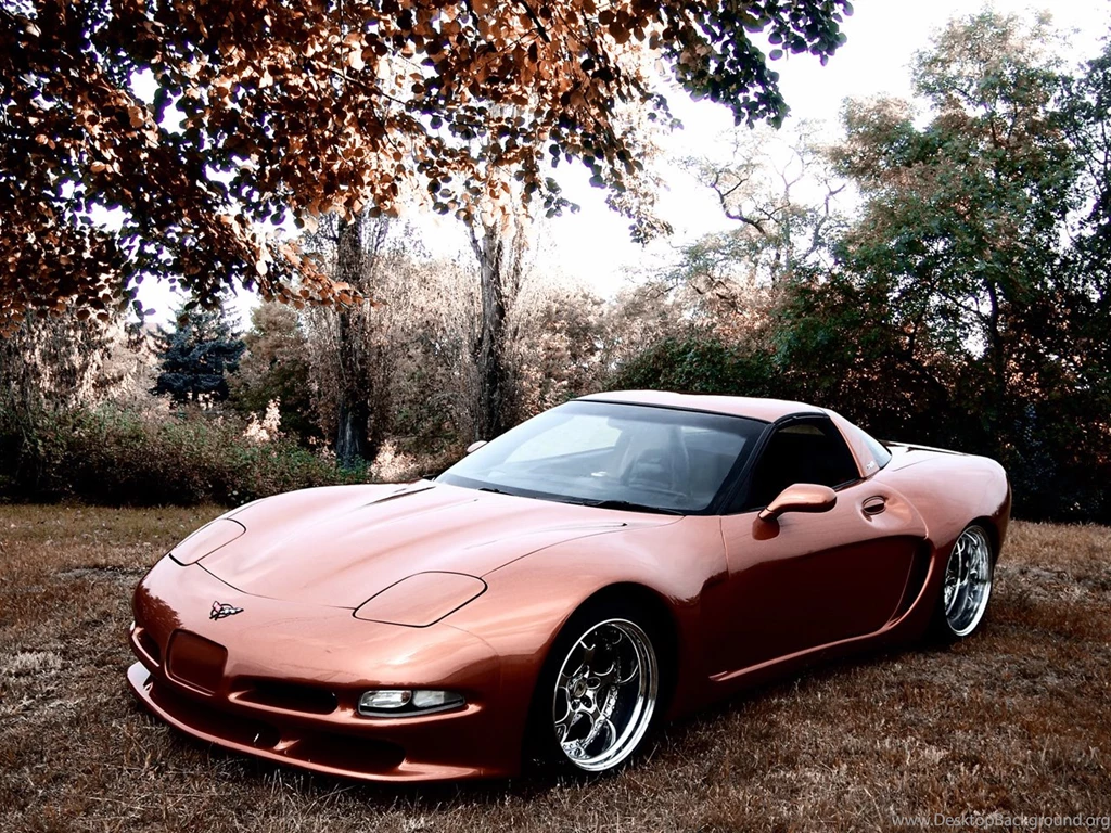 2011 Wittera Chevrolet Corvette C5 Wide Body   Brown Front And ...