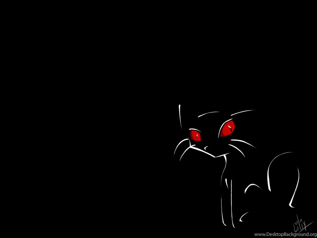 Free HQ Here Kitty Wallpapers Win Wallpapers Free HQ Wallpapers