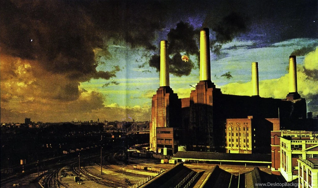 Best Pink Floyd Albums, Wish You Were Here, Animals And The Wall