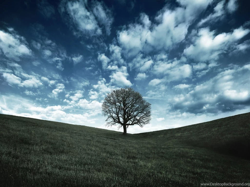 Samsung Phone Wallpapers 47355 HD Wallpapers