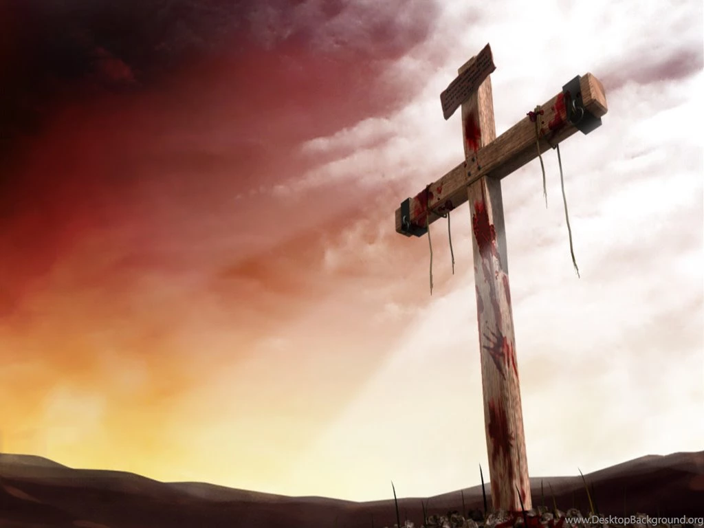 Homily September 14, 2014 Exaltation Of The Holy Cross
