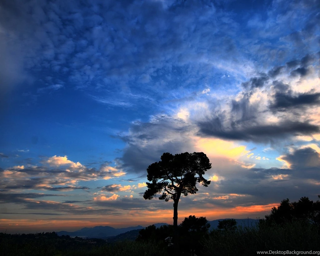 200+ Best Apple iPad HD Wallpapers