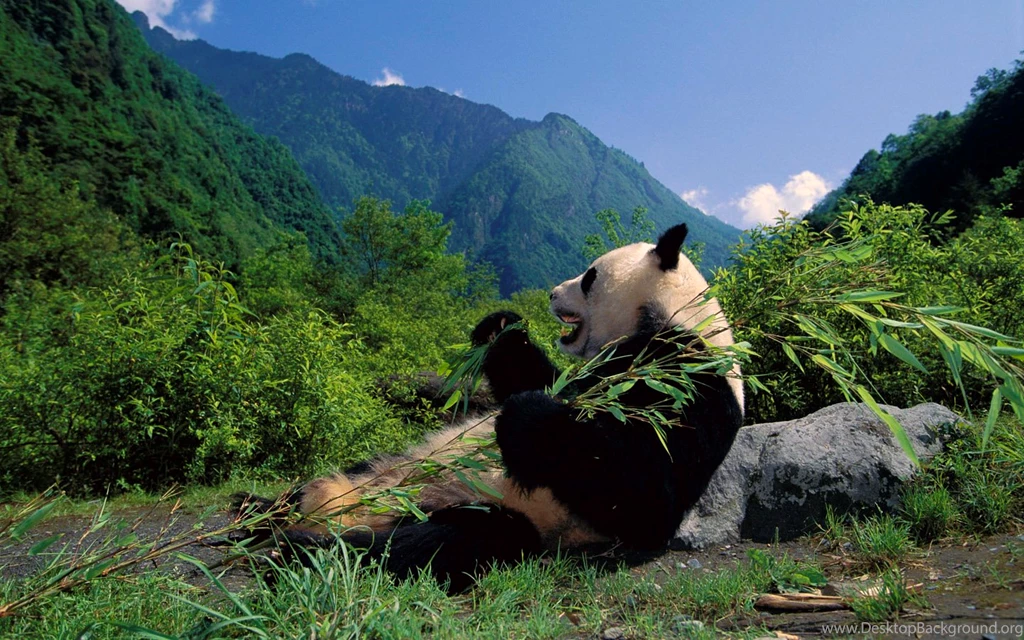 China Scenery Wallpapers Hd Also Next China Scenery Wallpapers Hd 9 ...