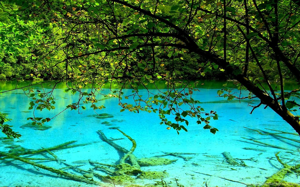 Clear Water (