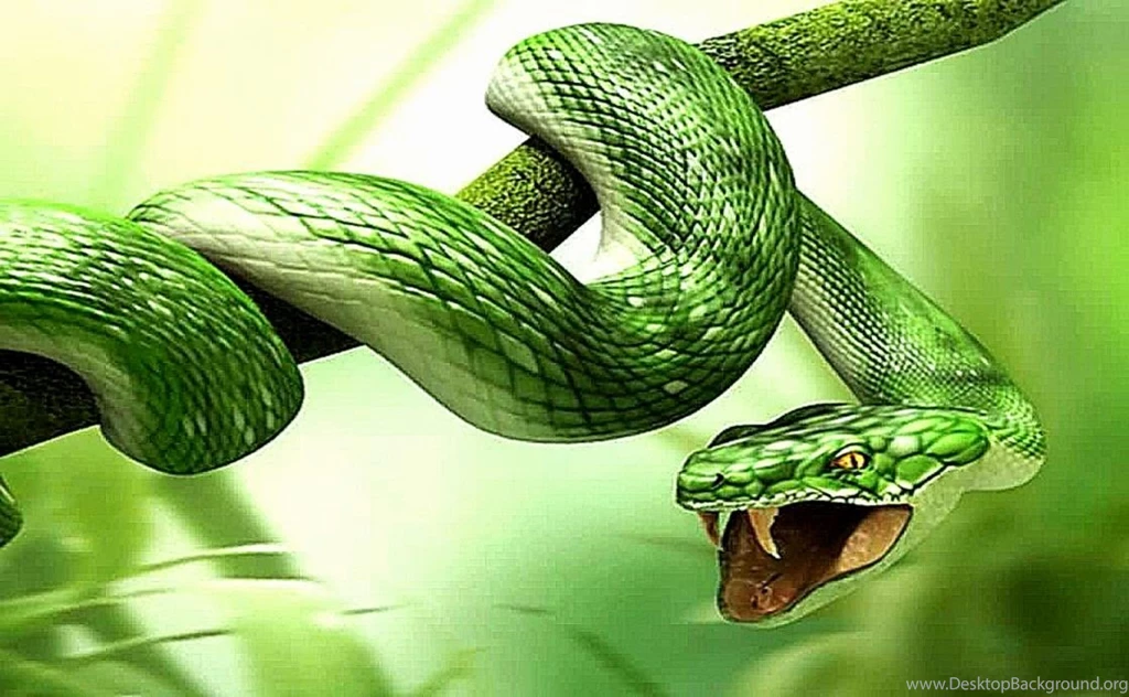 Green Snake 3D Ball Wallpapers Hd