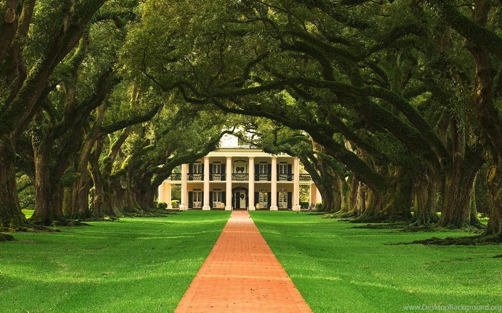 Hd Nature Wallpapers