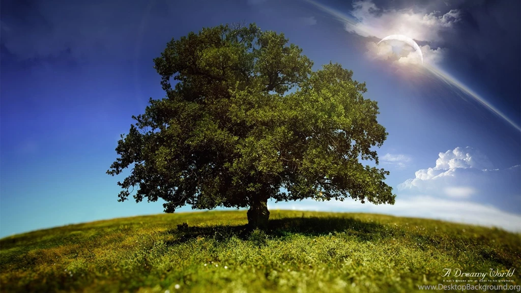 3D Landscape: A Dreamy World, Picture Nr. 60682