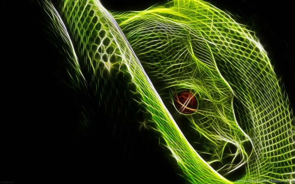 Desktop Brown Rat Snake Wallpapers