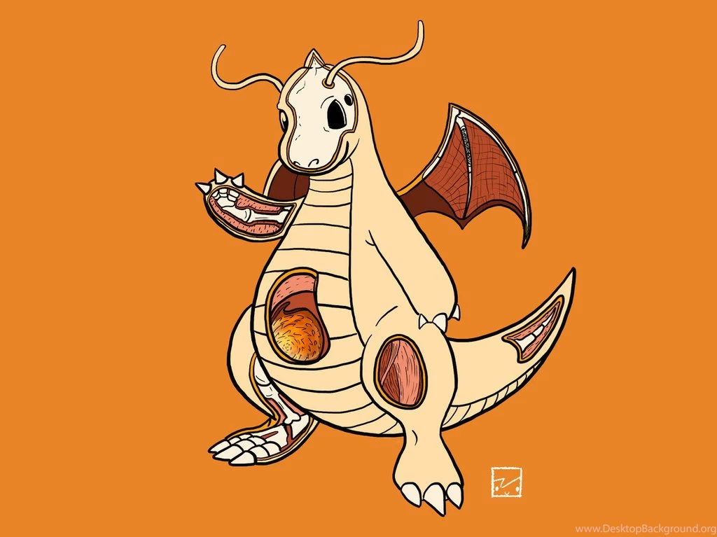 Dragonite Anatomy By OhRogan On DeviantArt